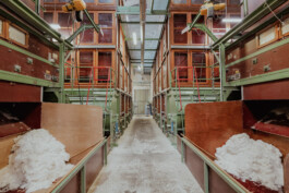 David Sepeau Photographe Bordeaux gironde nouvelle aquitaine France.