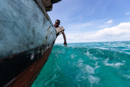David Sepeau Photographe Bordeaux gironde nouvelle aquitaine France. 