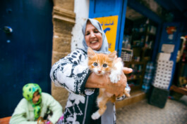 David Sepeau Photographe Bordeaux gironde nouvelle aquitaine France. 