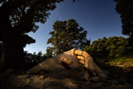 David Sepeau Photographe d'art astrophotographie Bordeaux gironde nouvelle aquitaine France.