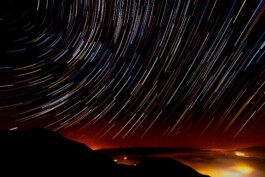 David Sepeau Photographe Bordeaux gironde nouvelle aquitaine France. 