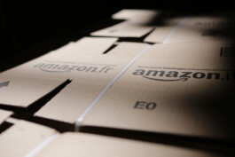 David Sepeau Photographe Bordeaux gironde nouvelle aquitaine France. 