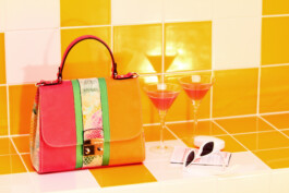 David Sepeau Photographe Bordeaux gironde nouvelle aquitaine France. Still life 