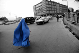 David Sepeau Photographe Bordeaux gironde nouvelle aquitaine France. 