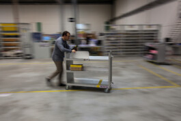 David Sepeau Photographe Bordeaux gironde nouvelle aquitaine France. Amazon 