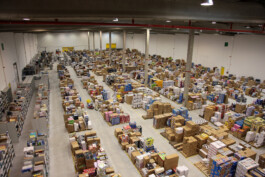 David Sepeau Photographe Bordeaux gironde nouvelle aquitaine France. Amazon 