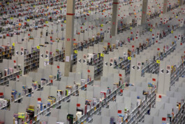 David Sepeau Photographe Bordeaux gironde nouvelle aquitaine France. Amazon 