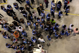 David Sepeau Photographe Bordeaux gironde nouvelle aquitaine France. Amazon 