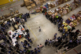 David Sepeau Photographe Bordeaux gironde nouvelle aquitaine France. Amazon 