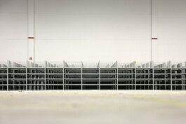 David Sepeau Photographe Bordeaux gironde nouvelle aquitaine France. Amazon 