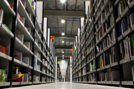 David Sepeau Photographe Bordeaux gironde nouvelle aquitaine France. Amazon 