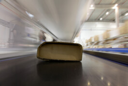 David Sepeau Photographe Bordeaux gironde nouvelle aquitaine France. Amazon 