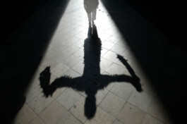 David Sepeau Photographe Bordeaux gironde nouvelle aquitaine France. 