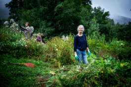 Le portillon des fée, lieu alternatif de vie en dehors du système. 