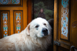 Le portillon des fée, lieu alternatif de vie en dehors du système. 