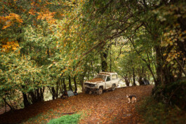 Le portillon des fée, lieu alternatif de vie en dehors du système. Voiture abandonnée 