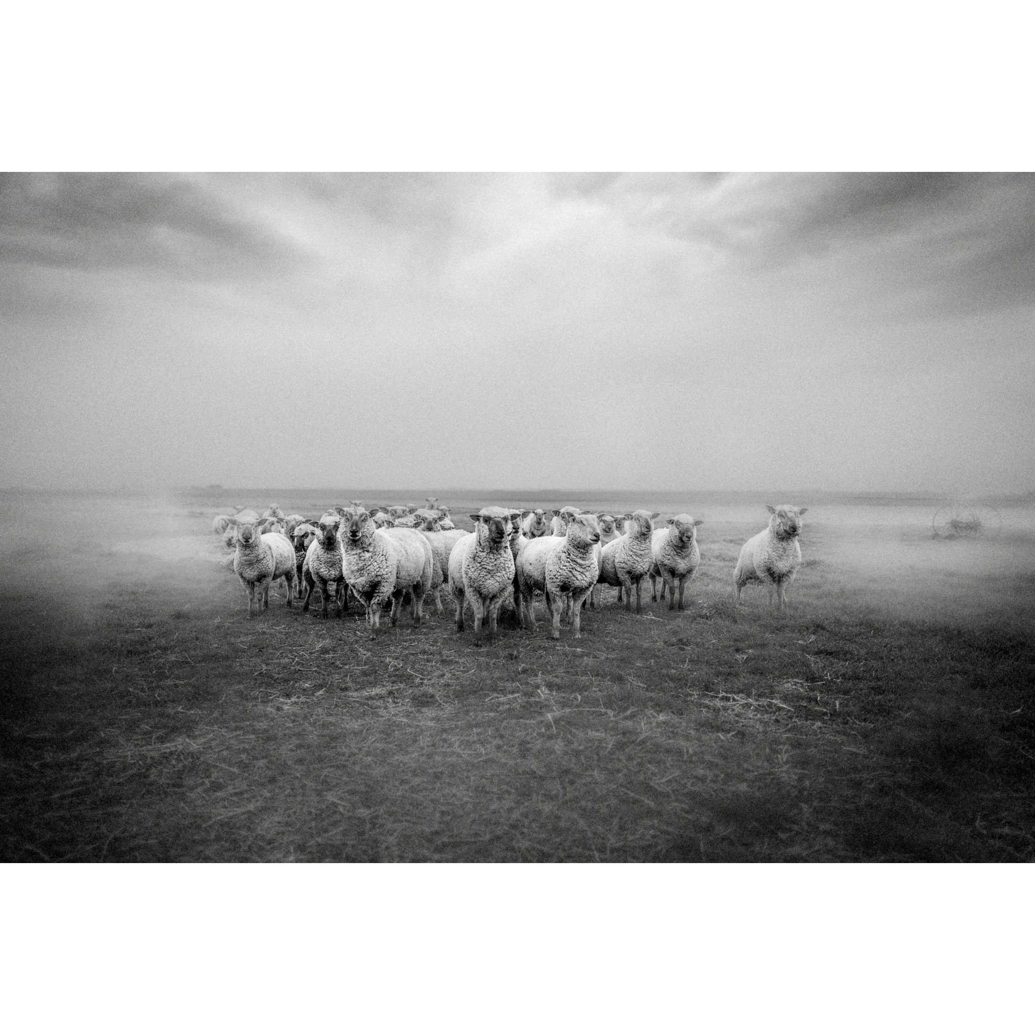 Tirage photo noir et blanc