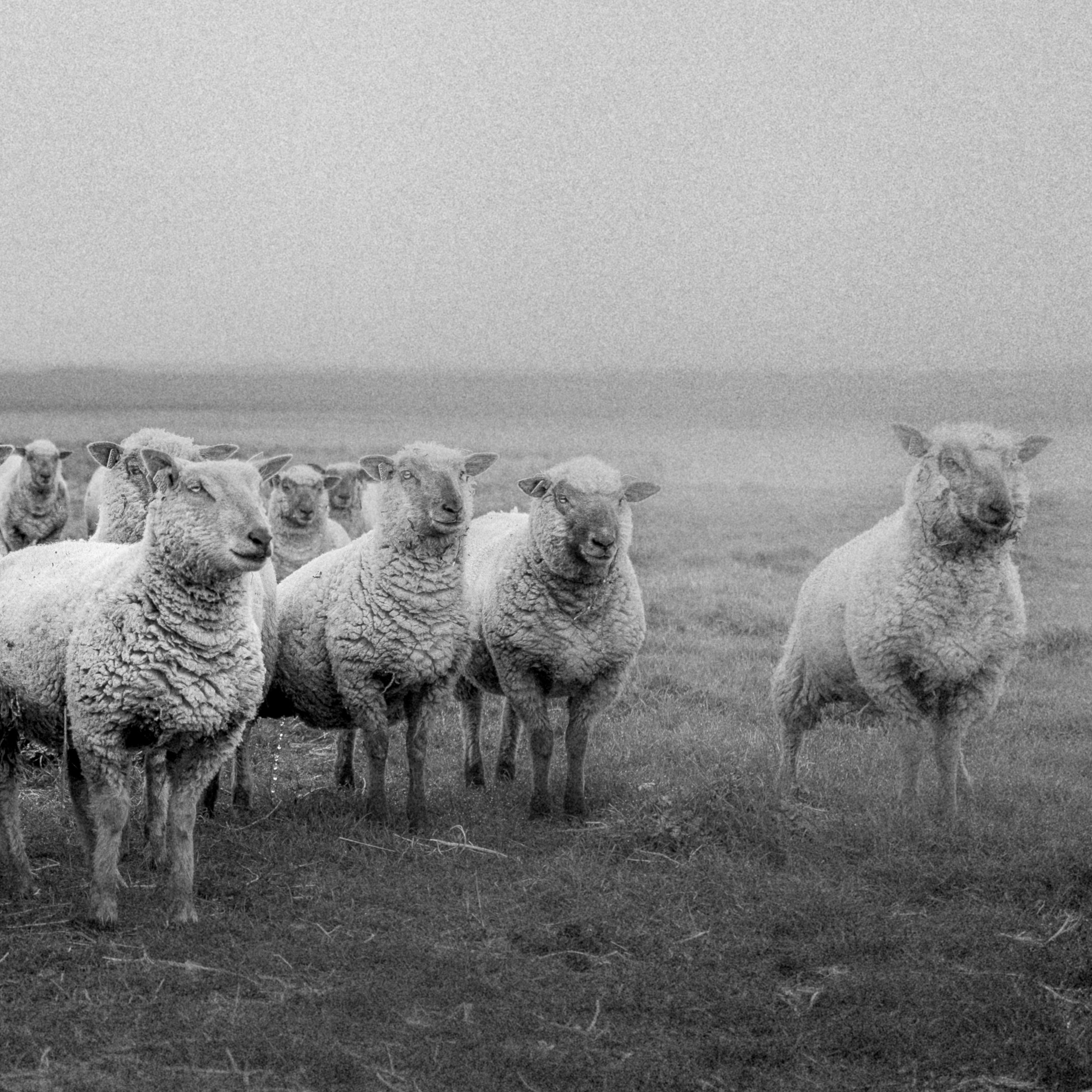 Tirage photo noir et blanc