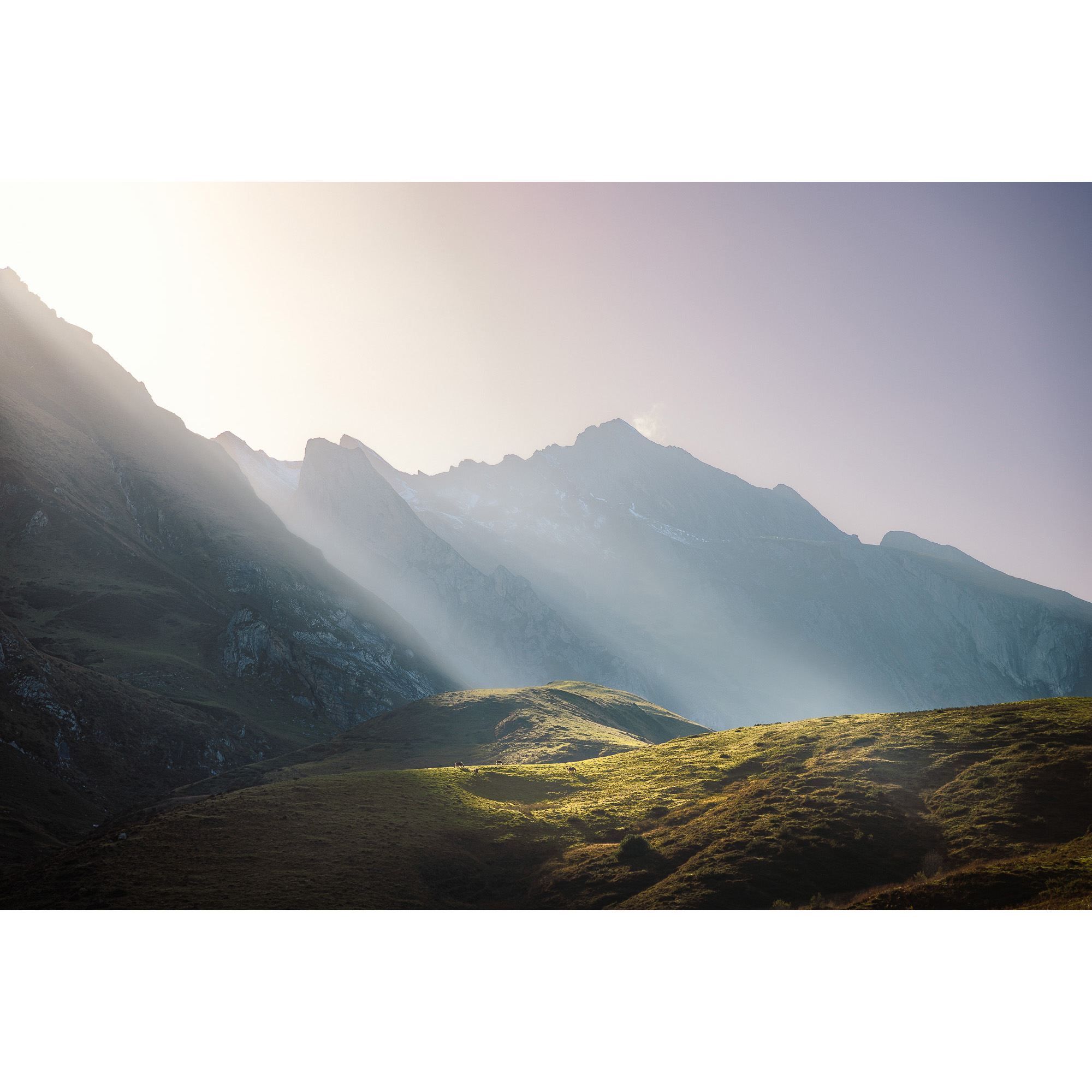 Tirage photo couleur